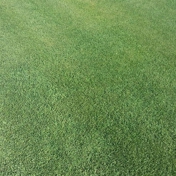 Gallery Image Number 6