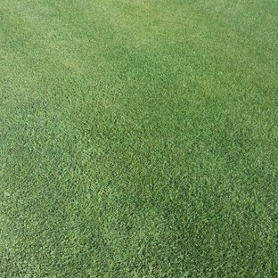 Ipswich Turf Supplies - Coominya, QLD