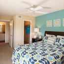 Preakness Apartments - Apartments