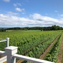 Brys Estate Vineyard & Winery - Wineries