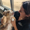 Dog Training Elite Greater Cleveland gallery