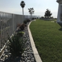 Grass Doctor Landscape Inc