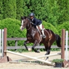 On Course Riding Academy gallery