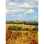 Tallgrass Prairie National Preserve