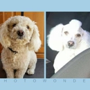 Leon's Pet Grooming - Dog & Cat Grooming & Supplies