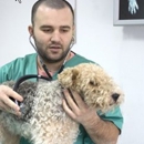 Animal Emergency Hosp - Veterinary Clinics & Hospitals