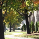 West Creek Manor Apartments - Apartments