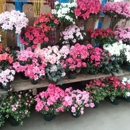 City Floral Inc - Florists