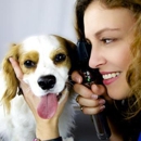 Bridgeway Animal Clinic - Veterinarians