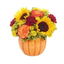 Colorado Springs Florist - Flowers, Plants & Trees-Silk, Dried, Etc.-Retail