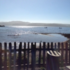 Hog Island Oyster Co-the Boat