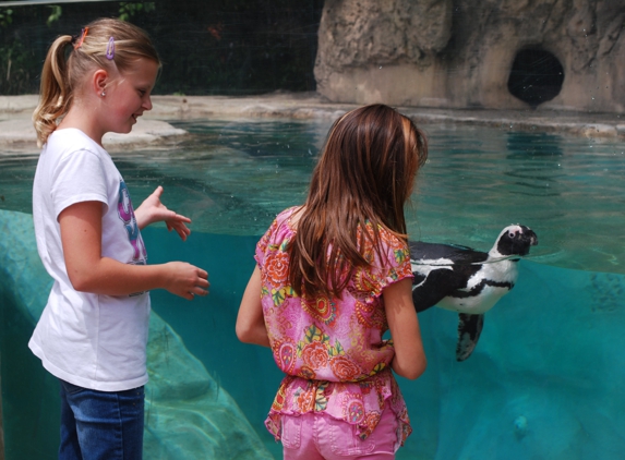 Children's Zoo At Celebration Square - Saginaw, MI