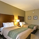 Comfort Inn Aikens Center - Motels