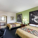 Super 8 by Wyndham Houston Hobby Airport South - Hotels