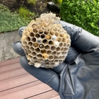 Banish Pest Control