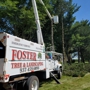 Foster Tree & Landscaping