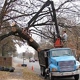 Butler Tree Service