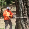 KDB Clearing & Timber gallery