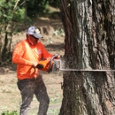 KDB Clearing & Timber - Logging Companies
