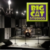 BIG CAT STUDIOS gallery