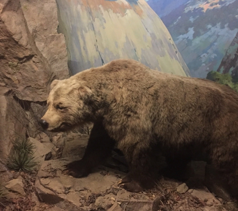 Santa Barbara Museum of Natural History - Santa Barbara, CA