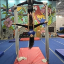 The Jungle Movement Academy - Party & Event Planners