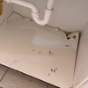 Microscope Mold and Water Damage Restoration gallery