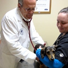 Middletown Veterinary Hospital