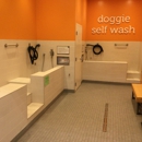 Petco Grooming - Pet Grooming