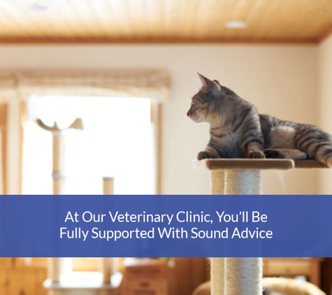Melton Veterinary Clinic - Melton, VIC. At Our Veterinary Clinic, You’ll Be Fully Supported With Sound Advice