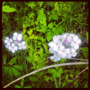 Prairie Oaks - West Jefferson, OH