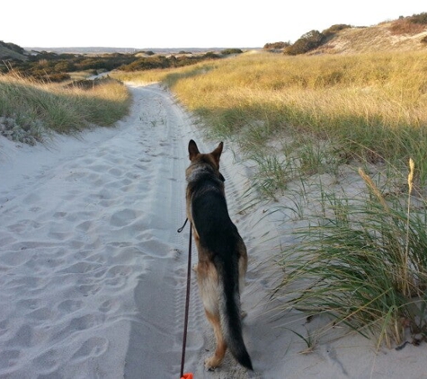 Sandy Neck Beach - West Barnstable, MA