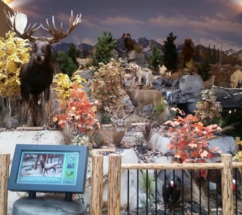 Cabela's - Newark, DE