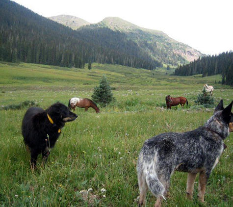 Pawsitively Native -Gunnison - Gunnison, CO