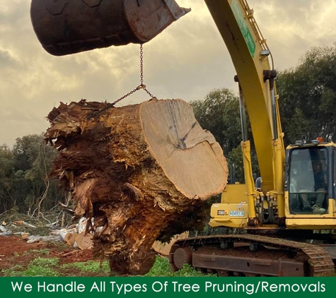 Steve McGrath's Tree Service - Parkes, NSW. We Handle All Types Of Tree Pruning/Removals