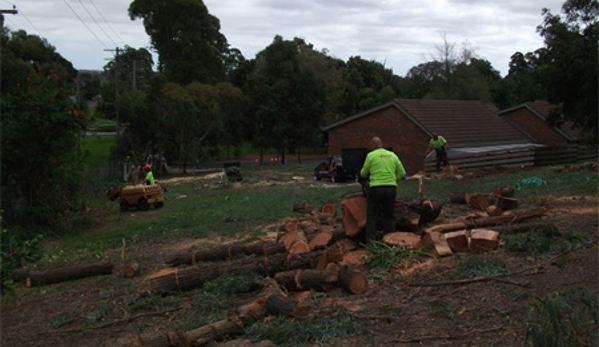 Redback Tree Services