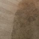 American Carpet Masters - Upholstery Cleaners