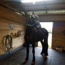 Mountain Meadow Equestrian Center - Horse Training