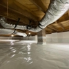 Noosa Pest Management gallery