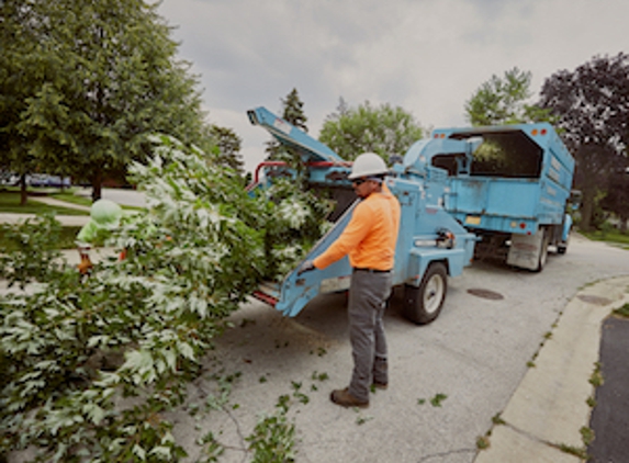 Winkler Tree & Lawn Care - Bellwood, IL