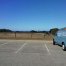 Elkhorn Slough National Estuarine Research Reserve - Sightseeing Tours