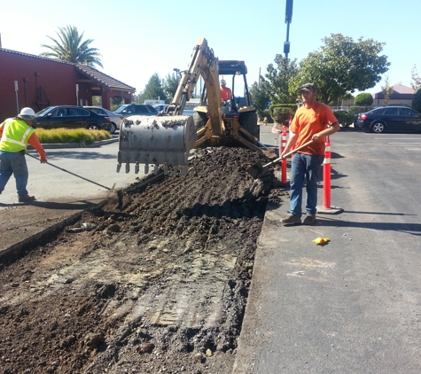 TORRANCE J COLLINS GENERAL CONTRACTOR - Petaluma, CA