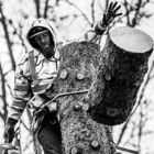 Lefler's Tree Service