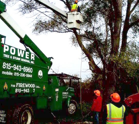 Power Tree Removal & Landscaping - Harvard, IL