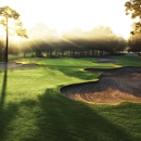 Innisbrook, A Salamander Golf & Spa Resort - Resorts