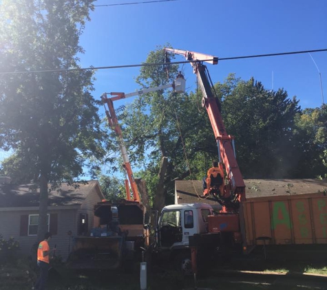 Aspen Tree Service - Mount Morris, MI