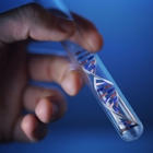 Legal DNA Paternity Genetic Testing