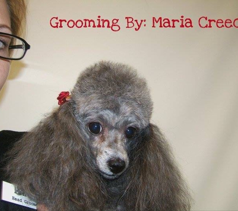 Ms Maria's Grooming - Crawfordville, FL