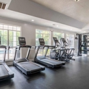 Preston Hills at Mill Creek Apartments - Apartments