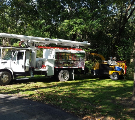 Ace Tree Service Inc. - Weston, MO